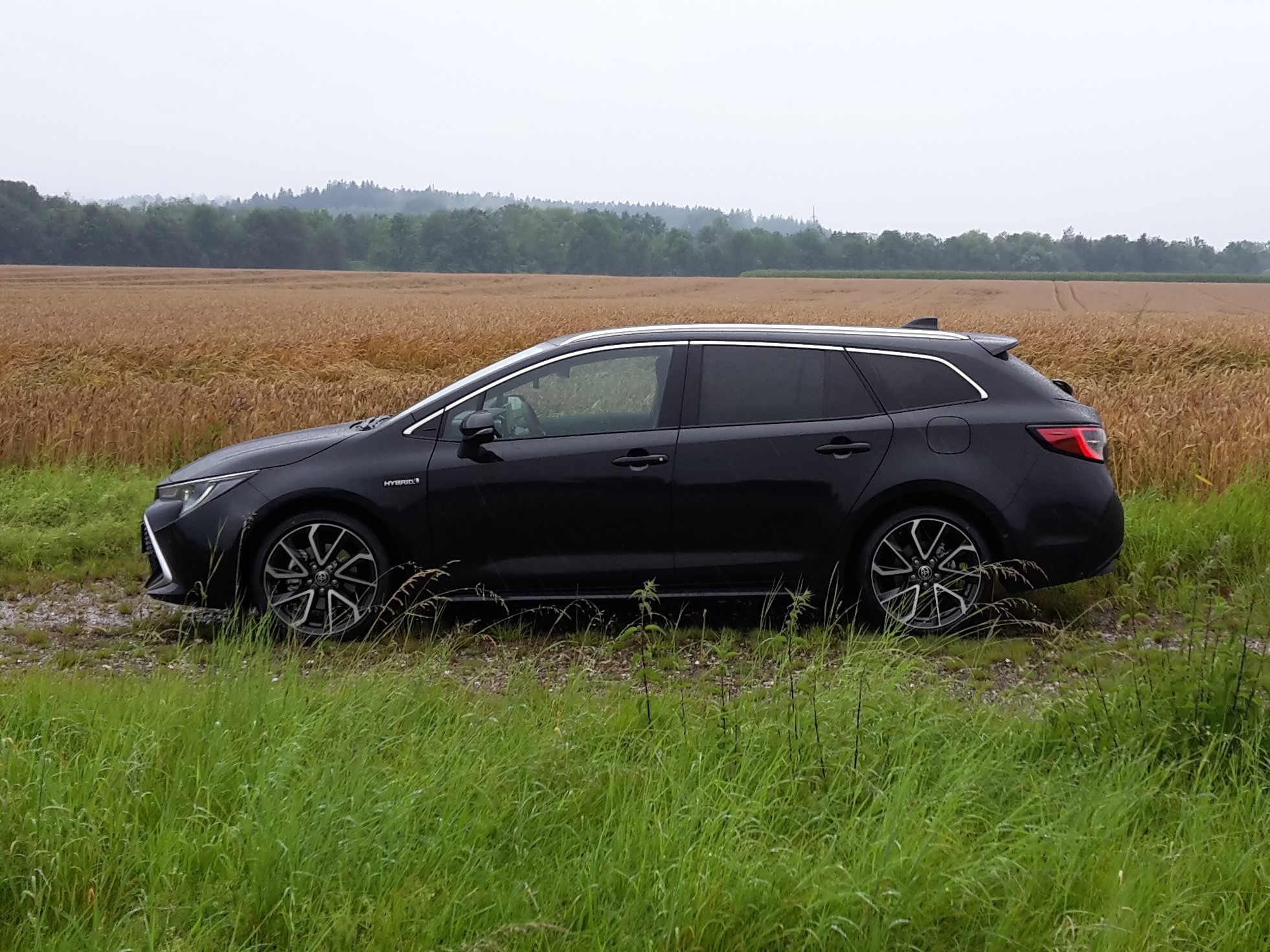 Corolla bei Regen